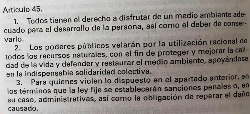 articulo 45 jerarquia constitucion espanola medio ambiente