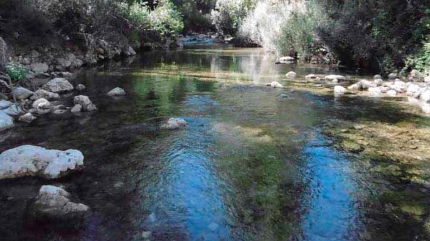 informe Reservas Naturales Fluviales