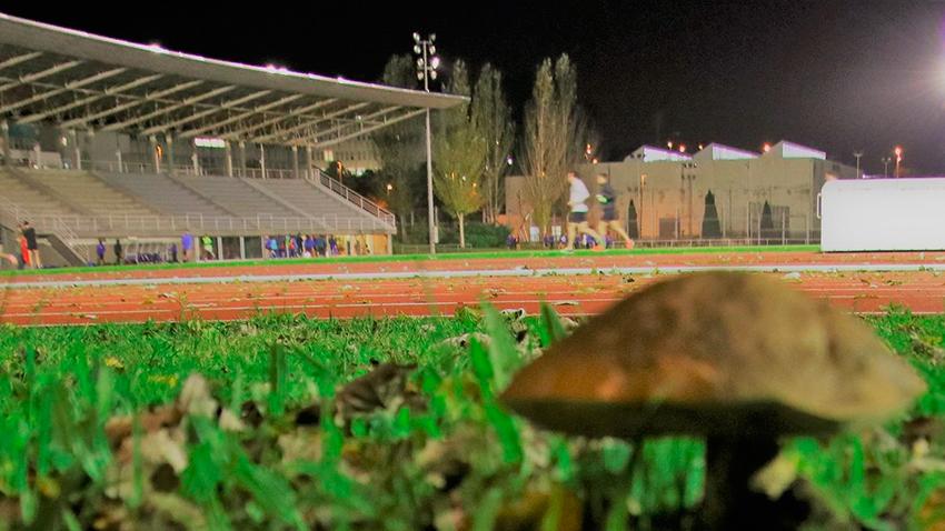 pablo comendador ambientologo sprint planeta guia buenas practicas ambientales atletismo