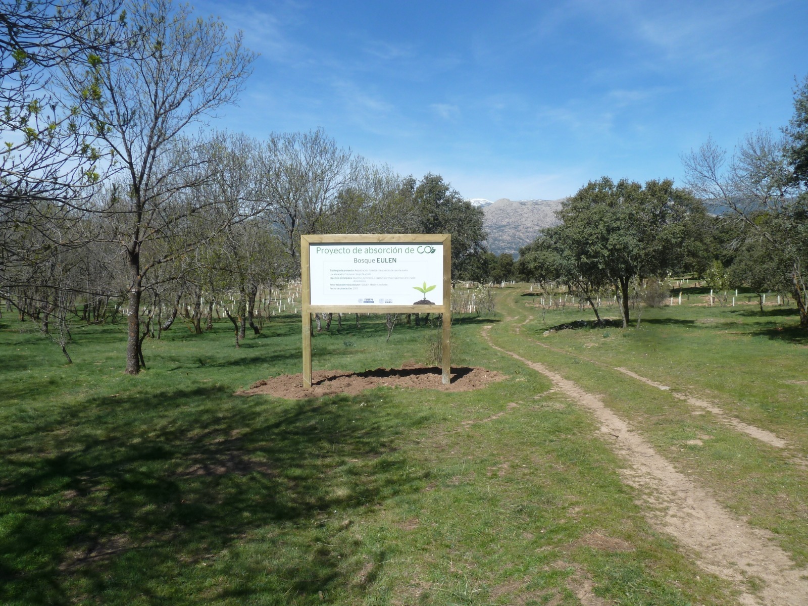 Bosque eulen