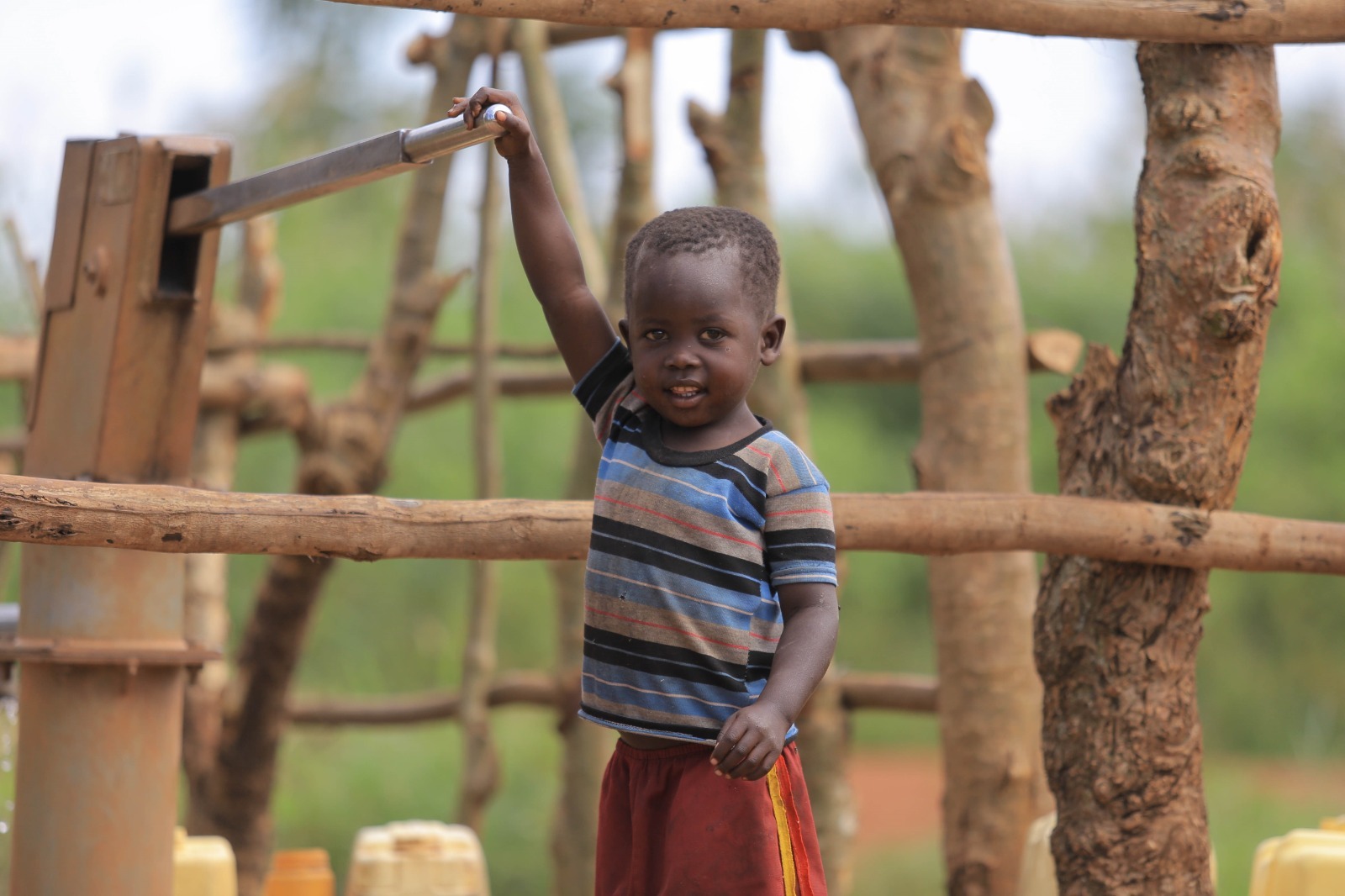 Porgrama Toshiba Carbon 0