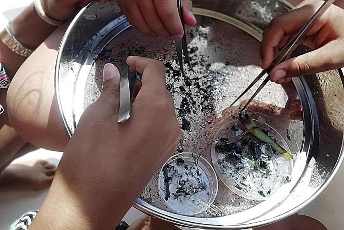 ambientologas Asociacion Noctiluca baleares