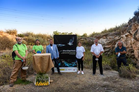 convenio anse y ailimpo