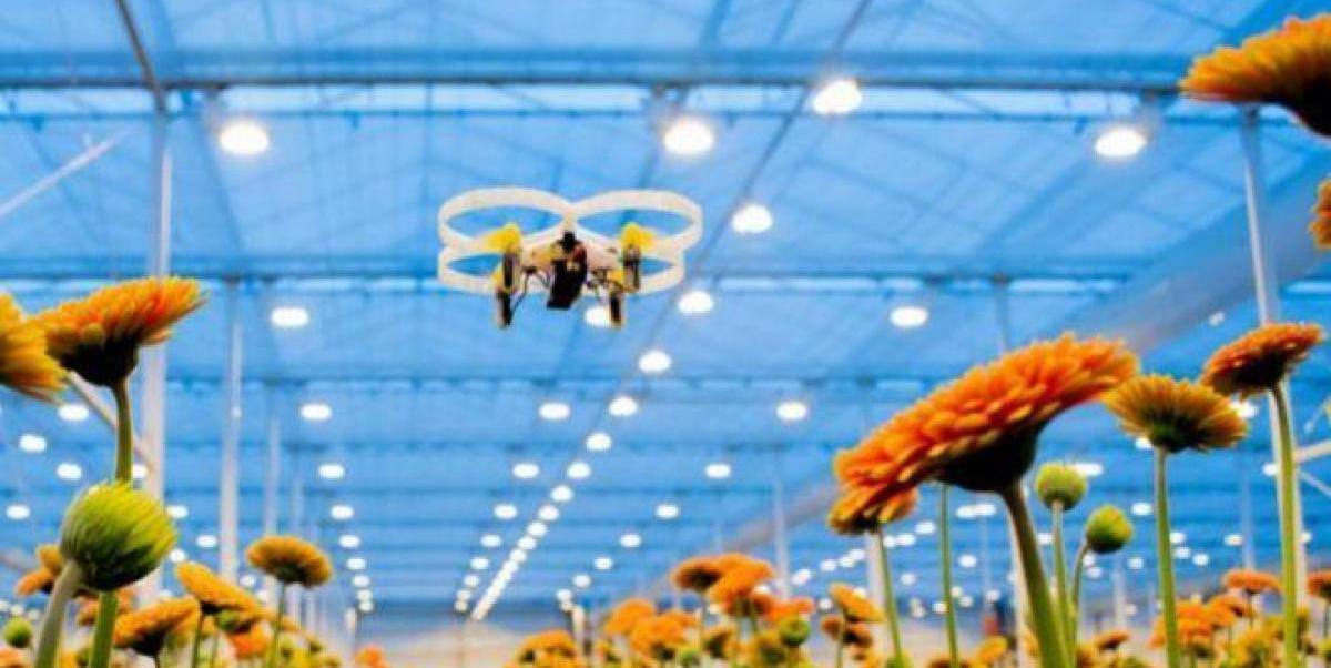 empleo nunca visto economia verde