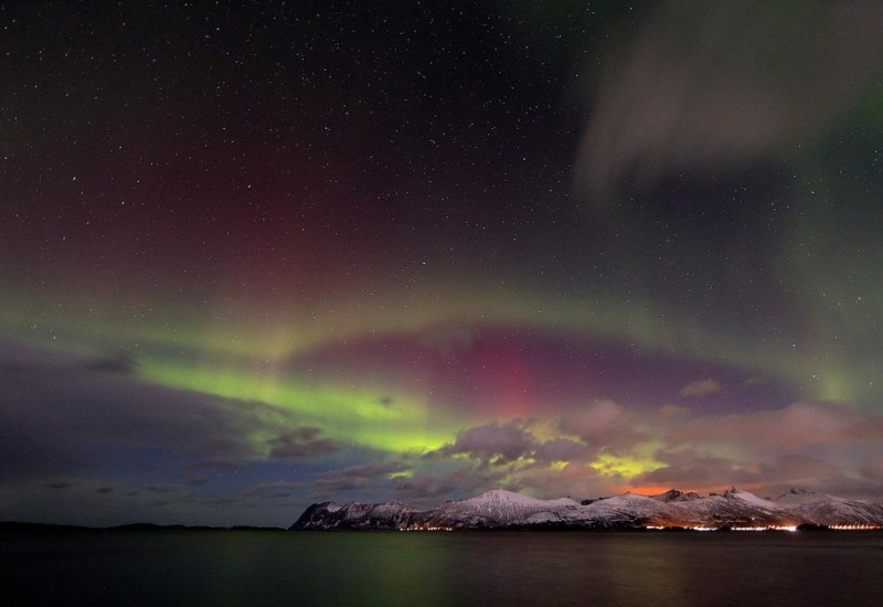 incendios zombies contenido