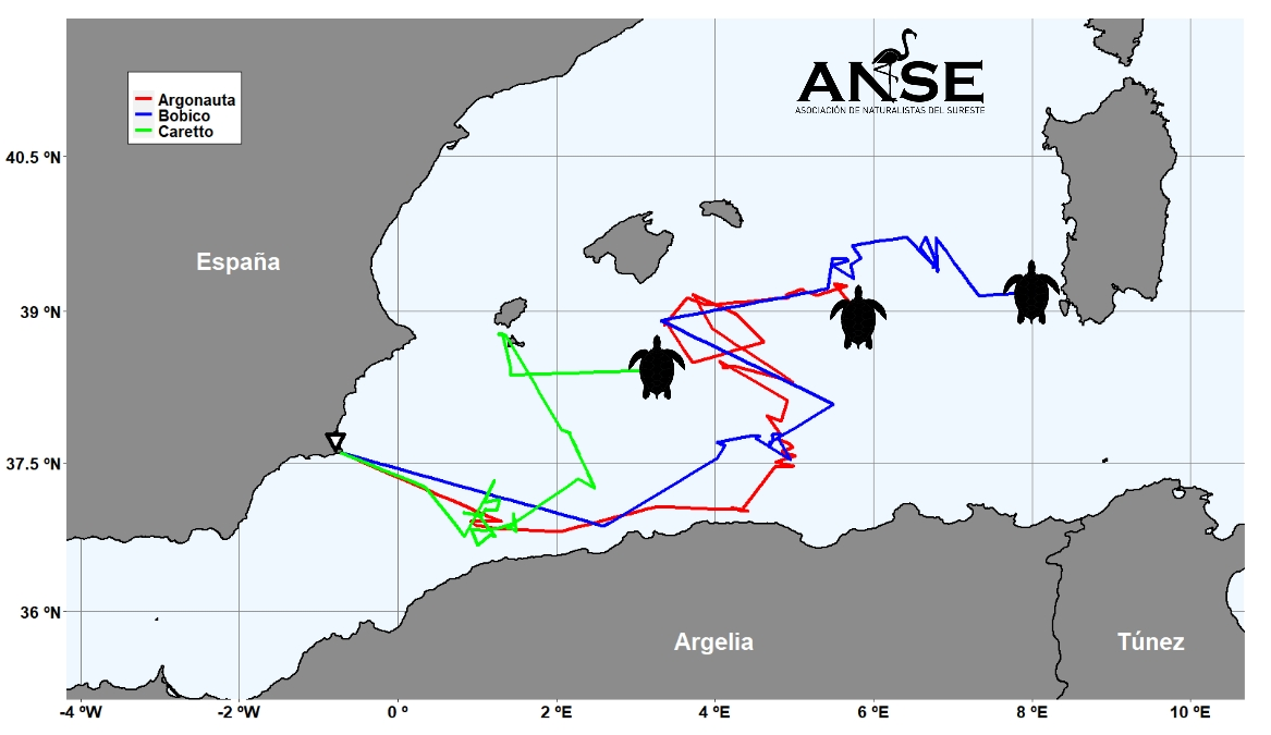 mapa recorrido tortugas calblanque