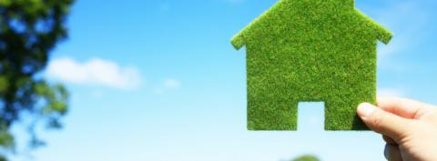 recuperación verde