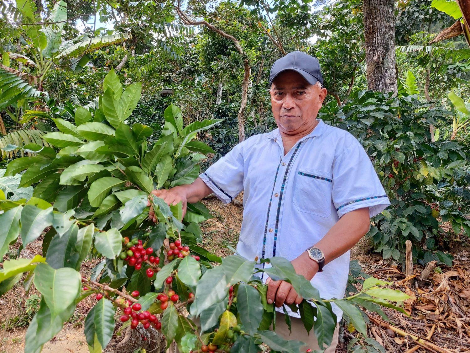 alianza filantropivo