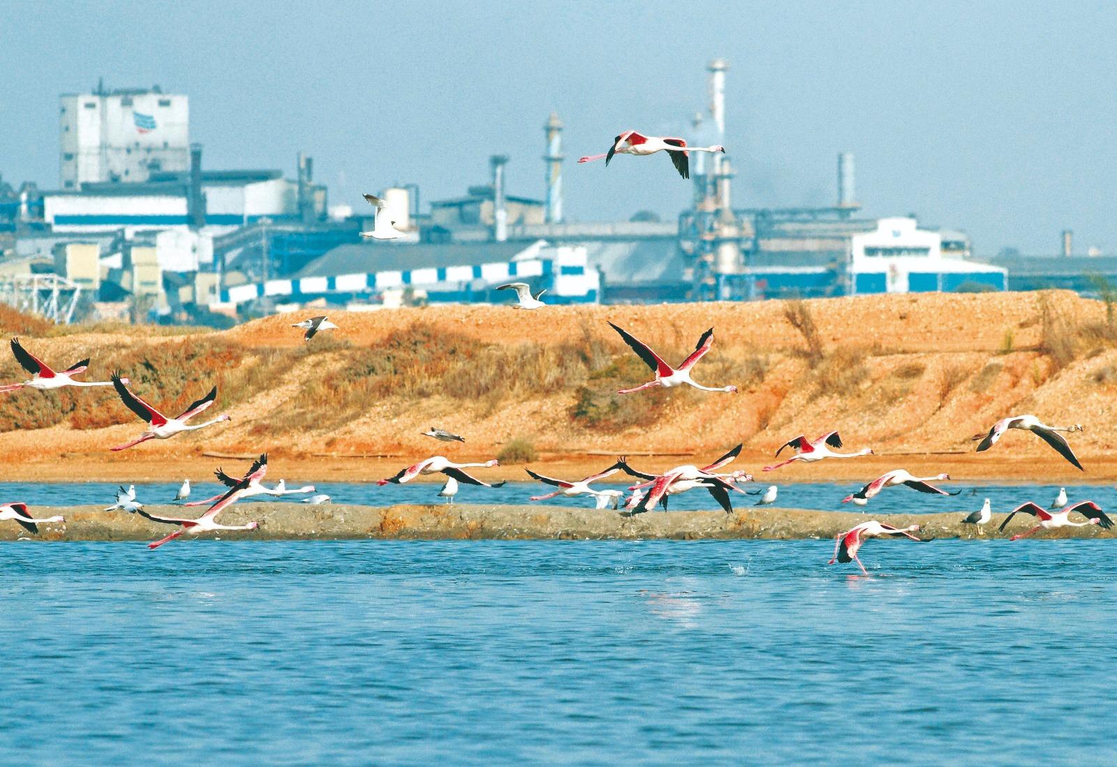 atlántico