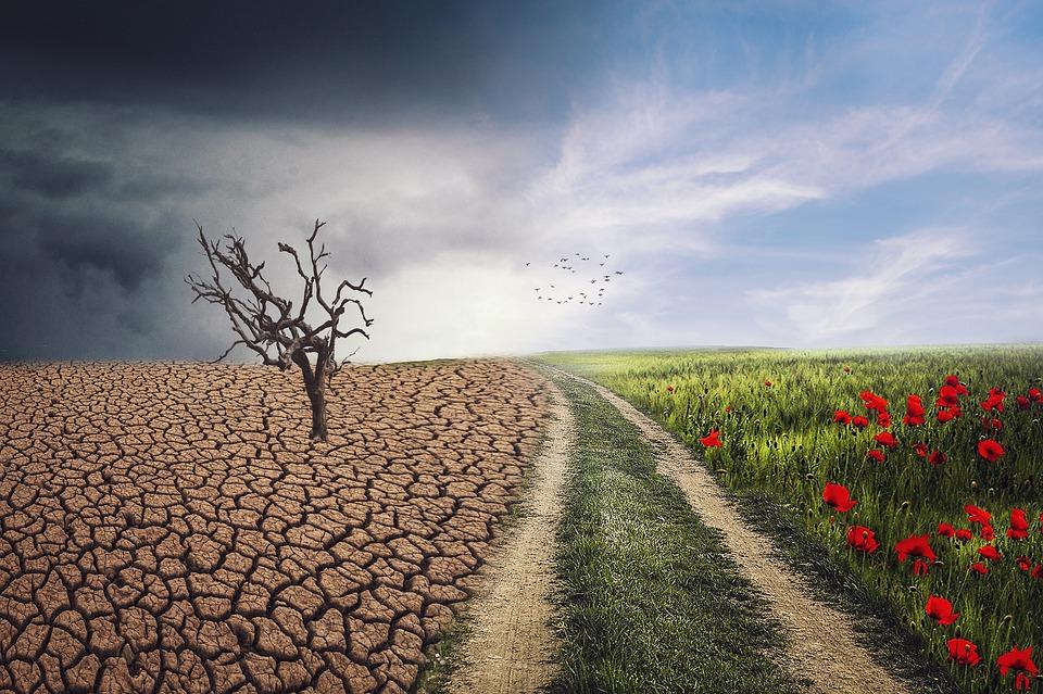cambio climatico