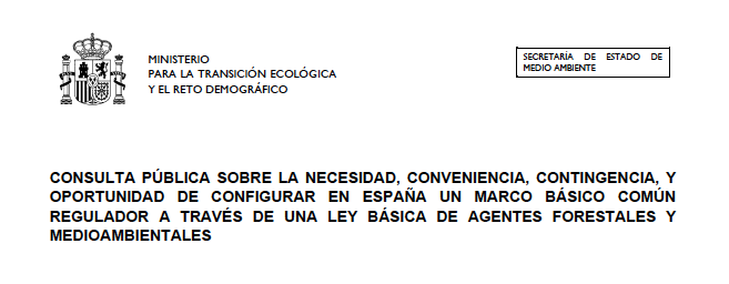 consulta publica