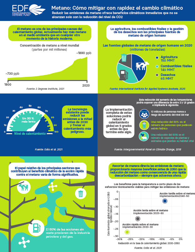 edf infografia