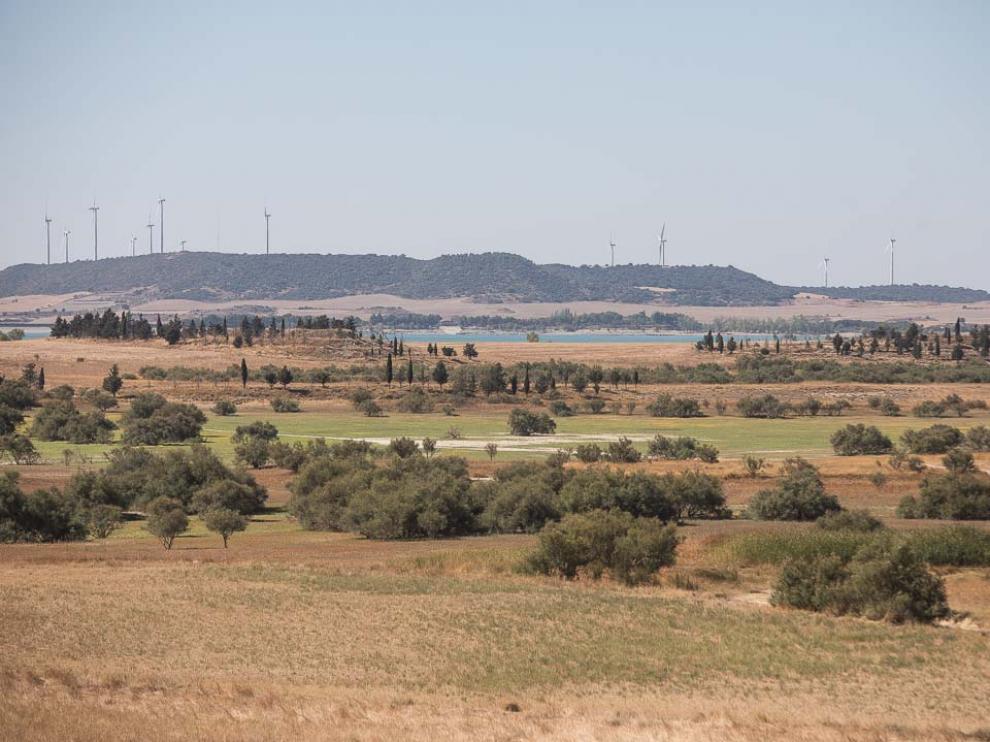 foto de montmesa