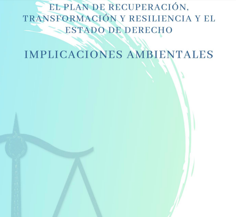 informe IIDMA