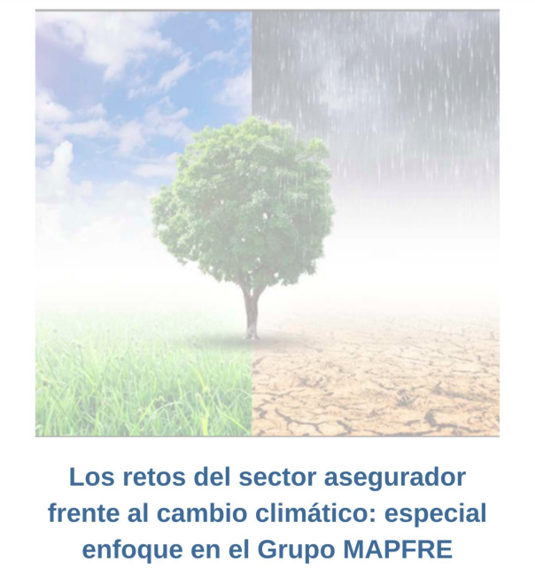 informe aseguradora