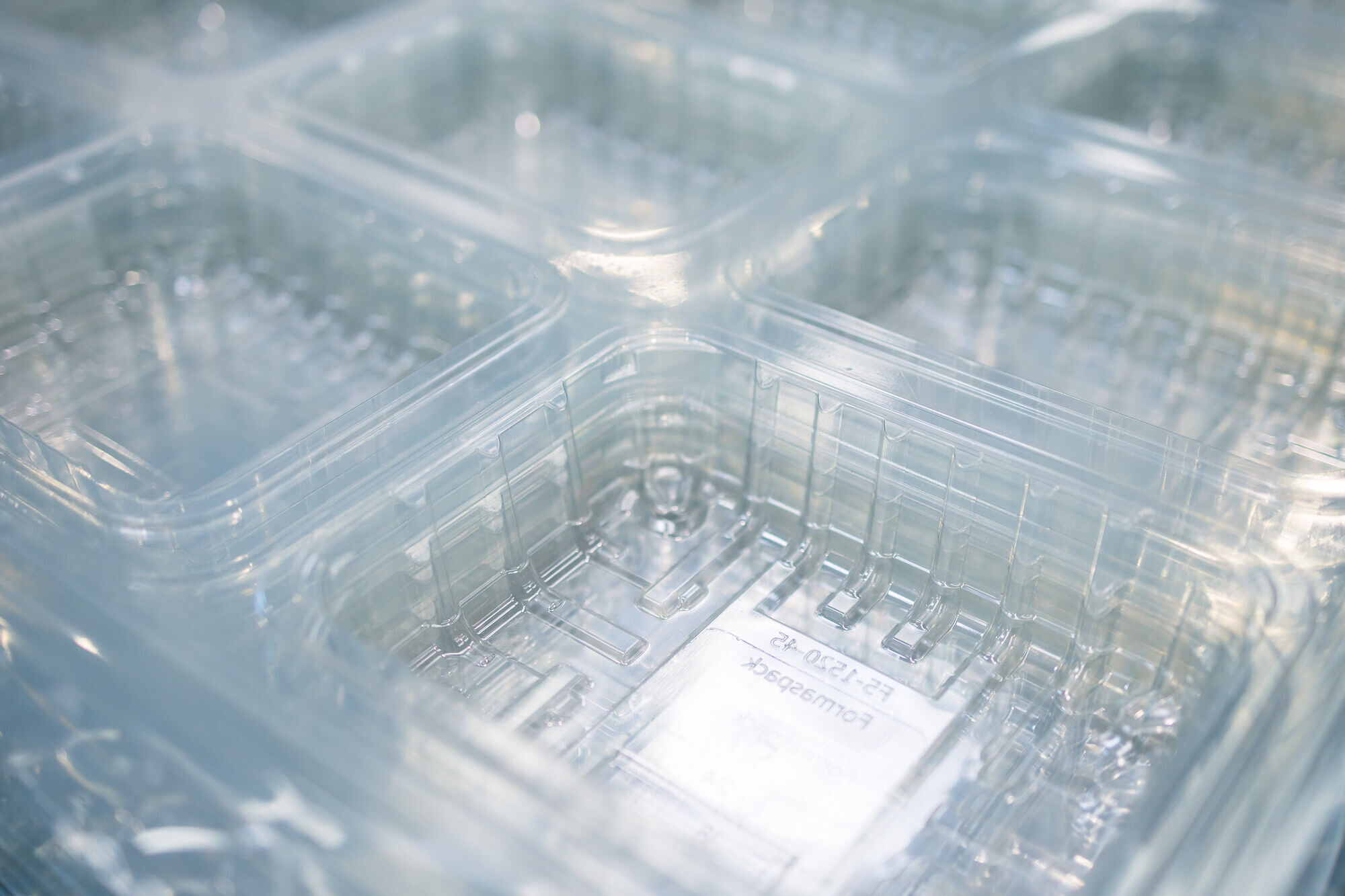 bandejas rPET FORMASPACK