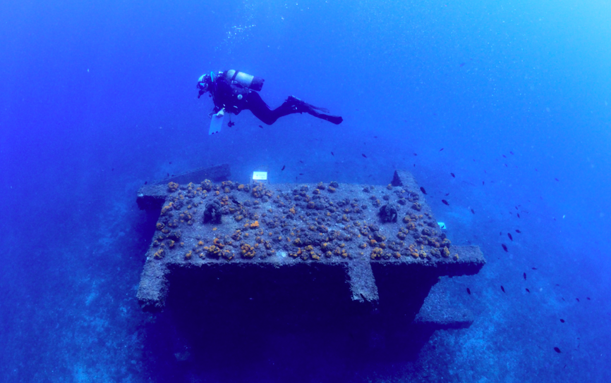 hyt coral